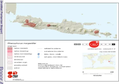 Gambar 3  Peta penyebaran R. margaritifer (Sumber: Iskandar et al. 2011). 