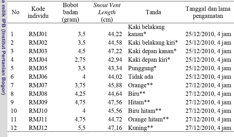 Tabel 5 Data individu R. margaritifer jantan yang diamati pada rumah katak ukuran 140 cm x 160 cm x 270 cm 