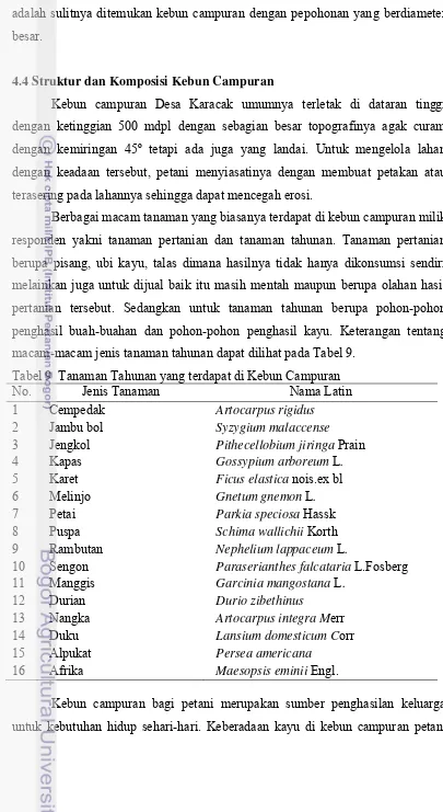 Tabel 9  Tanaman Tahunan yang terdapat di Kebun Campuran 