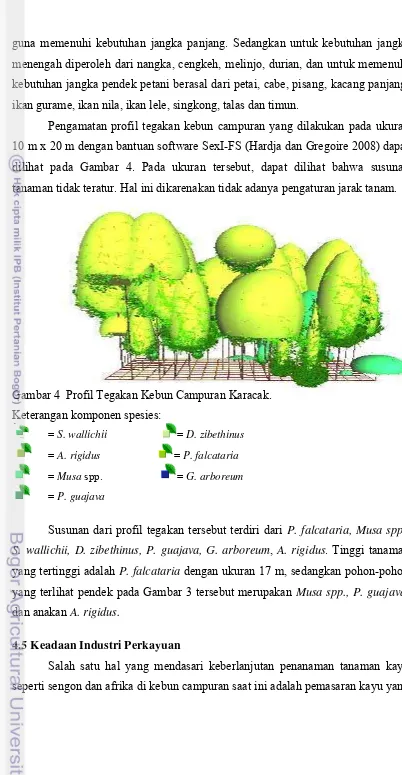 Gambar 4  Profil Tegakan Kebun Campuran Karacak. 