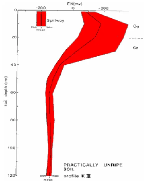 Gambar  1. Profil Eh bahan sulfidik dalam kondisi reduksi kuat pada kedalaman 40 cm,  variasi Eh terjadi di jaringan perakaran mangrof di atas 40 cm (Sumber: Van Mensvoort dan Dent, 1998) 