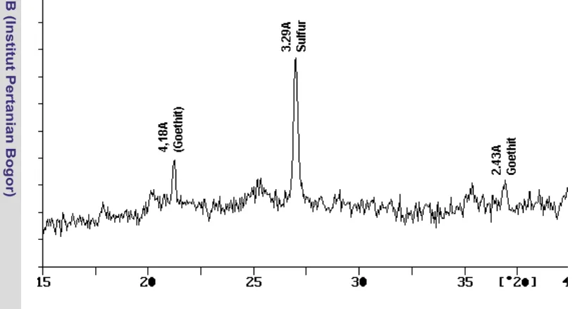 Gambar 12. Hasil analisis difraksi sinar-X terhadap bahan sulfidik tanah sulfat 