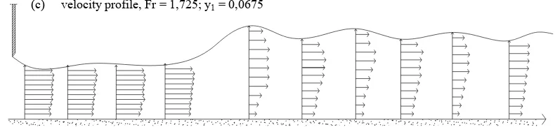 Figure 3. velocity profile of undular hydraulic jump 