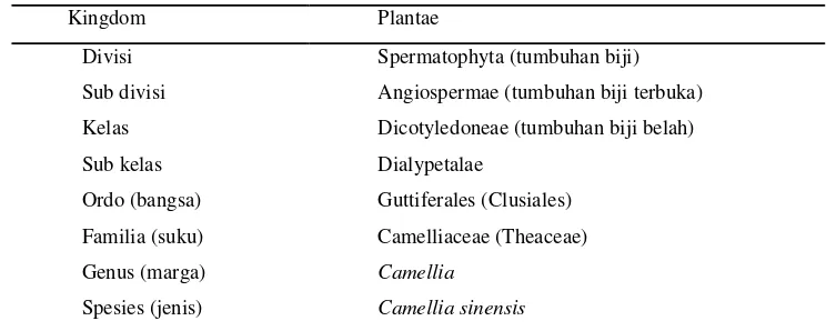 Tabel 1. Klasifikasi tanaman teh