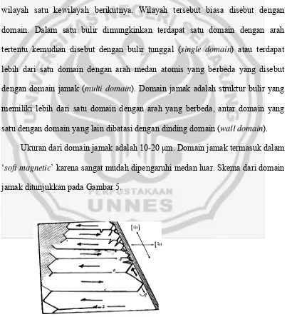 Gambar 5. Skema domain jamak (Dunlop,1997 ) 