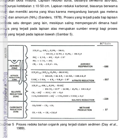 Gambar 5  Proses redoks bahan organik yang terjadi dalam sedimen (Day et al., 