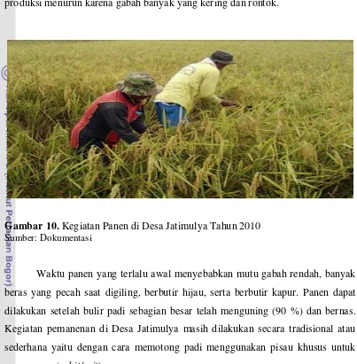 Gambar 10. Kegiatan Panen di Desa Jatimulya Tahun 2010 