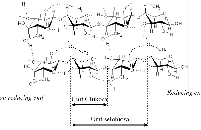 Gambar 1 Struktur molekuler selulosa (Hilden & Johansson 2004) 