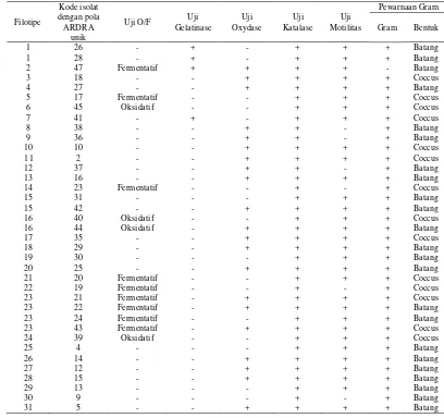 Tabel 3. Hasil Karakterisasi Morfologi, Fisiologi dan Biokimia Bakteri Usus Udang yang Memiliki Pola ARDRA Unik