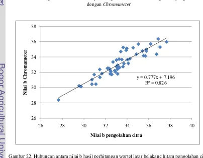 Gambar 22. Hubungan antara nilai b hasil perhitungan wortel latar belakang hitam pengolahan citra dengan Chromameter 