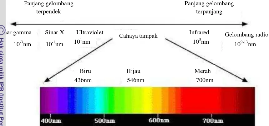 Gambar 1. Visible spectrum (Suhendra 2011) 