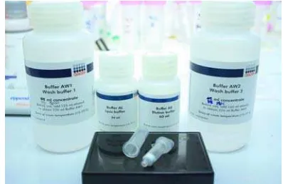 Gambar 9.  Kit komersial QIAamp® DNA Blood Mini Kit (Qiagen) 