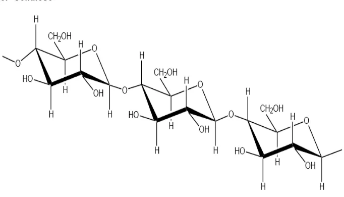 Gambar 3   Struktur kimia selulosa kayu. 