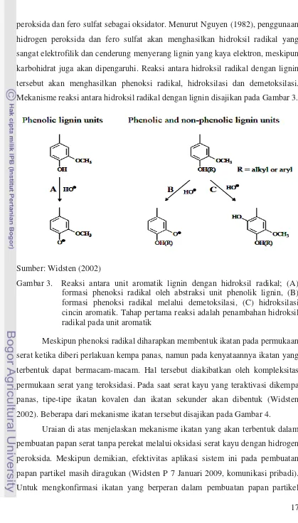 Gambar 3.  Reaksi antara unit aromatik lignin dengan hidroksil radikal; (A) 