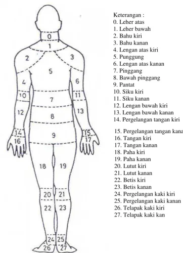 Gambar 2.6   Nordic Body Map 