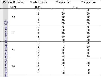Tabel 6.  Pengaruh Panjang Rhizome dan Waktu Simpan terhadap Persentase                 Rhizome Mati 