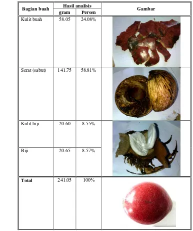Tabel 6. Hasil karakterisasi buah bintaro 