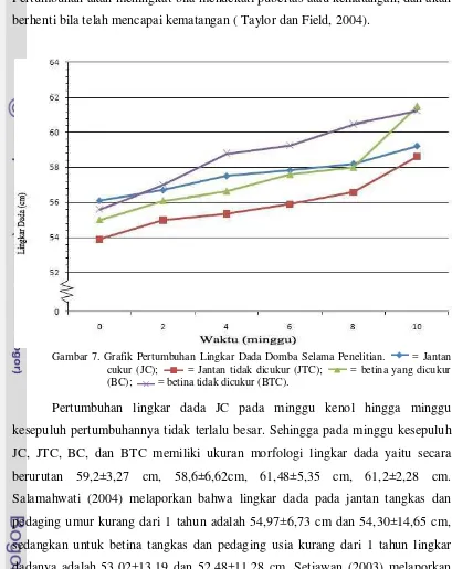 Gambar 7. Grafik Pertumbuhan Lingkar Dada Domba Selama Penelitian. 