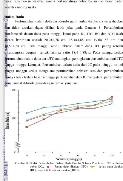 Gambar 8. Grafik Pertumbuhan Dalam Dada Domba Selama Penelitian. 