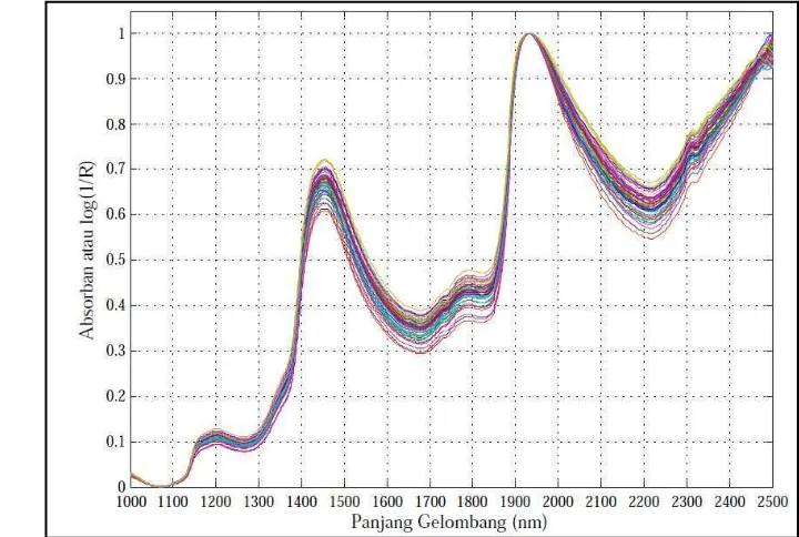 Gambar 25. Kurva normalisasi spektrum absorban sampel buah mangga varietas Gedong 