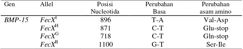 Tabel  4 Mutasi gen BMP-15 dan pengaruhnya pada laju ovulasi  