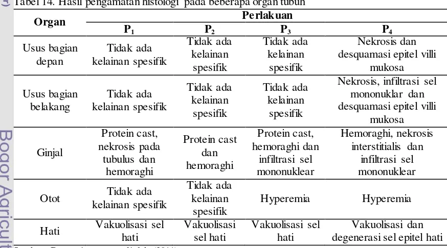 Tabel 14. Hasil pengamatan histologi pada beberapa organ tubuh  