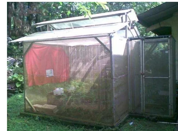 Gambar 11. Greenhouse (rumah tanaman) yang digunakan 