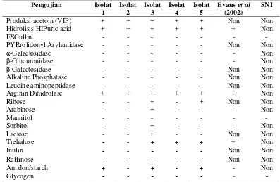 Tabel 5  Kemampuan Streptococcus agalactiae menghidrolisis gula menggunakan API Strep 20 