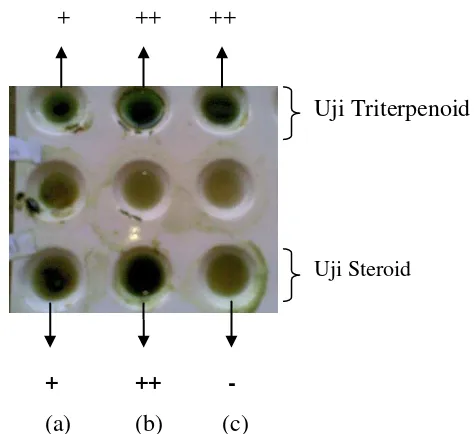 Gambar 9 Hasil uji steroid/triterpenoid ekstrak n-heksan (a),  