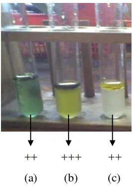 Gambar 10 Hasil uji flavonoid ekstrak n-heksan (a),  
