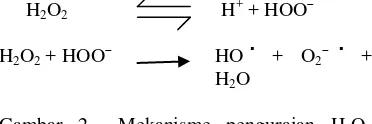 Gambar 2  Mekanisme penguraian H2O2 