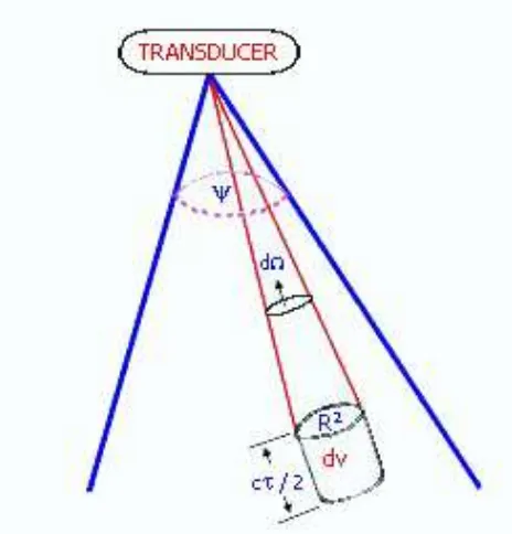 Gambar 3  Volume Backscattering Strength pada Multiple Target (Johannesson dan Mitson 