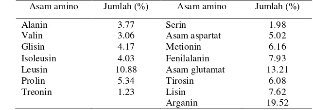 Tabel 6  Komposisi asam amino biji jintan hitam 