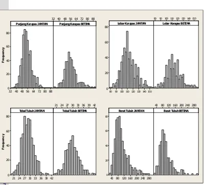 Gambar 12 Grafik Distribusi Frekuensi Ukuran Rajungan (Portunus pelagicus) Jantan dan Betina