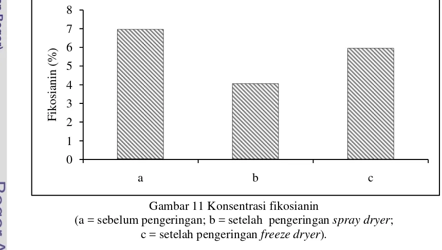 Gambar 10 Kadar air fikosianin setelah pengeringan 