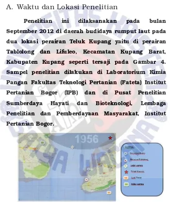 Gambar 4. Lokasi Penelitian Eucheuma cottonii di Perairan Kupang Barat 