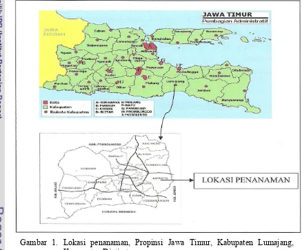 Gambar 1. Lokasi penanaman, Propinsi Jawa Timur, Kabupaten Lumajang, 