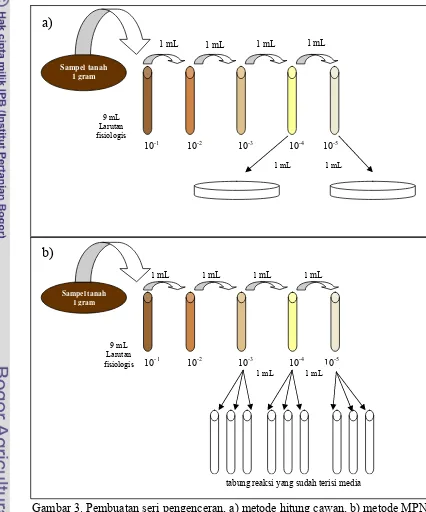Gambar 3. Pembuatan seri pengenceran, a) metode hitung cawan, b) metode MPN dengan 3 tabung 