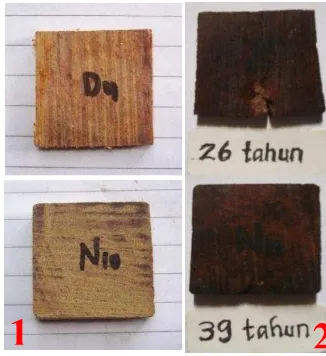 Gambar 3  Contoh uji kayu Ulin sebelum (1) dan setelah (2) pengujian laboratorium. 