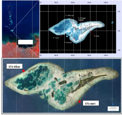 Gambarr 2. Lokasi GGugus Pulauu Pari dan pposisi stasiuun penelitiann 