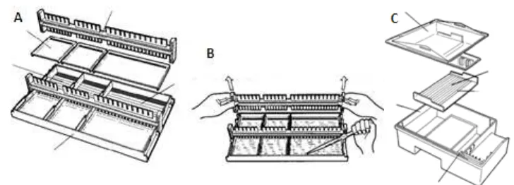 Gambar 2  Peralatan elektroforesis. A. Gel tray, B. Cara mencetak gel agarose. C. Peralatan lengkap untuk running elektroforesis (Fatchiyah 2006 )