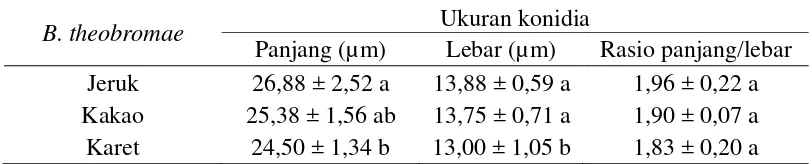 Tabel 3  Ukuran panjang dan lebar konidia matang cendawan B. theobromae pada tiga tanaman inang  