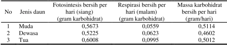 Tabel 4  Massa karbohidrat bersih per hari 