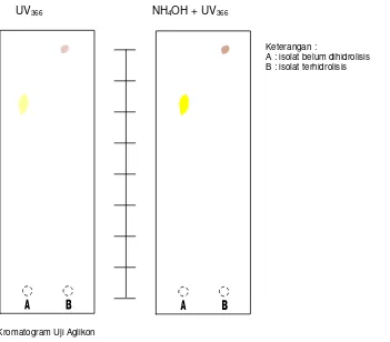 Gambar 11- Spektra Pergeseran λ Setelah Penambahan NaOAc/H3BO3 