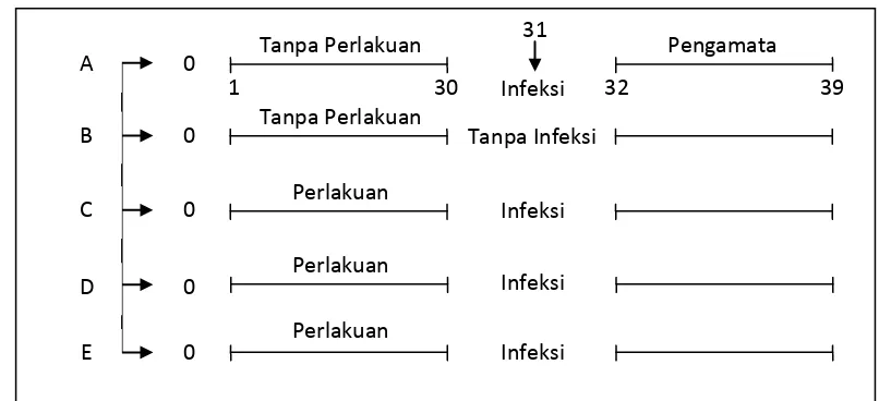 Tabel 1. Feeding Rate (FR) menurut SNI 01-7246-2006 