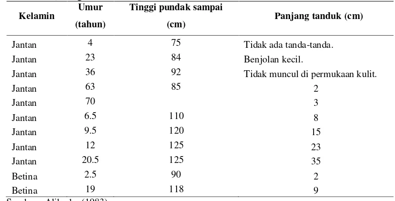 Tabel 1 Hubungan antara umur, tinggi sampai pundak dan panjang tanduk (Hoogerwerf 1970) 
