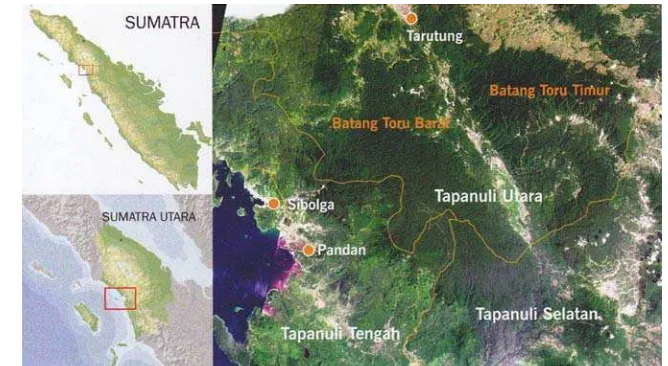 Gambar 6  Kawasan Hutan Batang Toru, Sumatera Utara (Sumber: YEL).