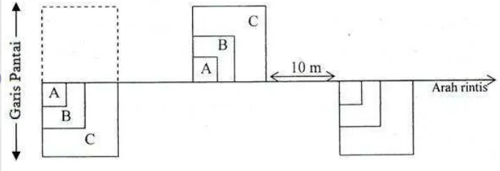 Gambar 3. Skema penempatan petak contoh (Bengen, 2004) 