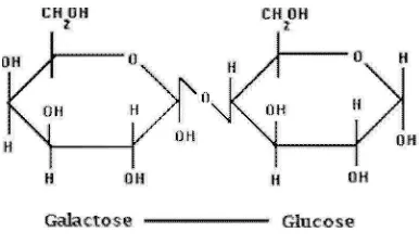 Gambar 1.  Struktur Laktosa (Goff, 2006) 