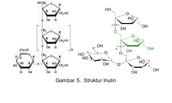 Gambar 5.  Struktur Inulin 